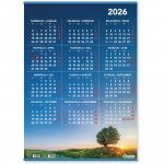 Cc 6516 vuosijuliste listoilla 520x720mm