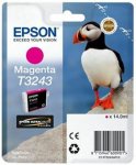 Epson muste T3243 C13T32434010 magenta värikasetti