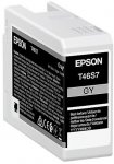 Epson muste T46S7 C13T46S700 harmaa värikasetti