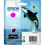 Epson muste T7603 C13T76034010 magenta värikasetti