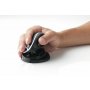 Ergohiiri Oyster mouse langaton musta oikea/vasenk.