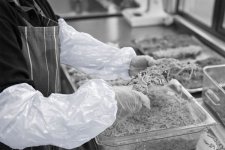 Hihansuoja kertakäyttö valkoinen 100kpl