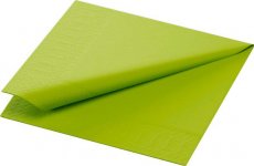 Lautasliina 24x24cm kiivi 2-kerros 300kpl