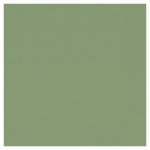 Lautasliina duni 24x24cm kiwi 300kpl