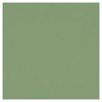 Lautasliina duni 24x24cm kiwi 300kpl