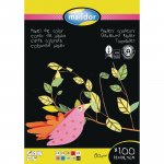 Lehtiö a4, 100 sivua 80g, värilajitelma