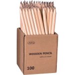 Lyijykynä Actual Nature HB 100kpl