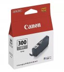 Mustekasetti Canon PFI-300 GY 4200c001 harmaa värikasetti