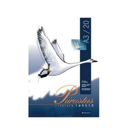 Piirustuslehtiö 20 sivua a3 120 g