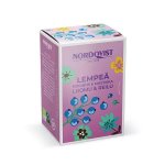 Tee Nordqvist Lempeä rooibos mustikka luomu 20 pss/ras