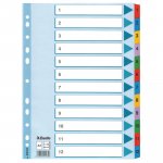 Välilehdet Esselte mylar a4 1-12