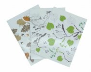 Vihko Nidottu Nature A4 40 lehteä 10kpl, 50kpl/ltk